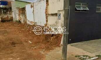 Imagem: Terreno à venda, Rosário - ARAGUARI/MG