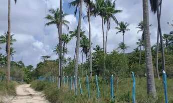 Imagem 4: Imóvel para venda possui 322000 metros quadrados em Zona Rural - Conde - BA