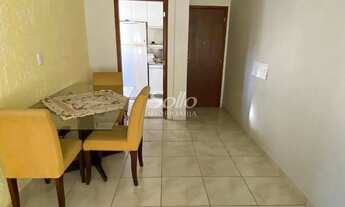 Imagem 2: Venda Apartamento DONA ZULMIRA