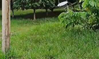 Imagem 6: Terreno 46 hectares próximo de Manaus