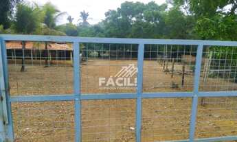 Imagem 4: Vende-se Chácara com Casa à 50 Km de Palmas-To, sentido Lajeado