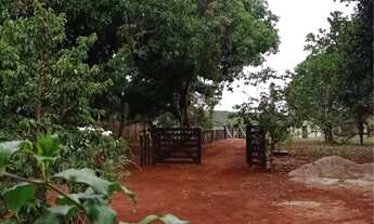 Imagem 7: Localização privilegiada chácara venda Coração de Maria