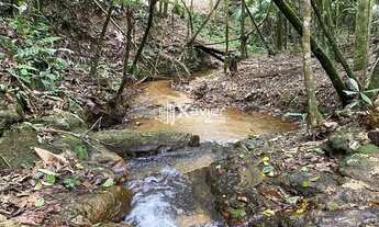 Imagem 2: Sítio Escriturado com 24.000 m², Casa Nova, Cachoeiras e Platôs - Alfredo Chaves/ES