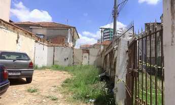 Imagem 3: Terreno à venda em Pinheiros - SP