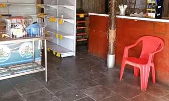 Imagem 4: ÓTIMA LOJA DE ESQUINA NO ARNALDO EUGENIO EM CAMPO GRANDE