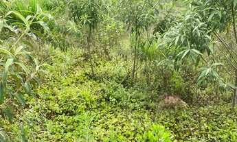 Imagem 3: Promoção por Pouco Tempo: Terreno com 500m² em Ibiúna com Lazer