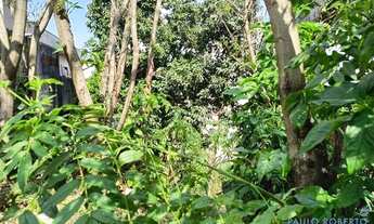 Imagem 5: TERRENO - ALTO DA LAPA - SP