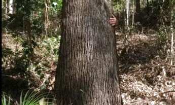 Imagem 5: Fazenda em Centro
