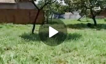 Imagem 3: Lote QUITADO próx a TO 080 LAGUNA 1