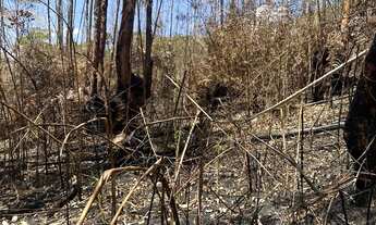 Imagem 7: Promoção por Pouco Tempo: Terreno com 500m² em Ibiúna com Lazer