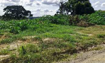 Imagem: Oportunidade chacara 10000 com documentaçao