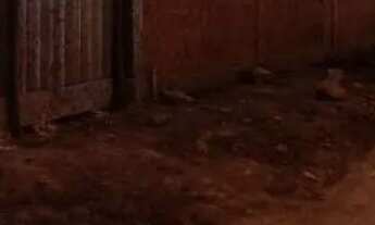 Imagem 7: Lote 26 de setembro