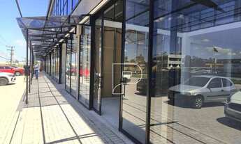 Imagem 4: Loja Comercial de frente à Rodovia Raposo Tavares