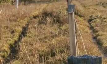 Imagem 5: Fazenda à venda preço de oportunidade região Vale do Araguaia