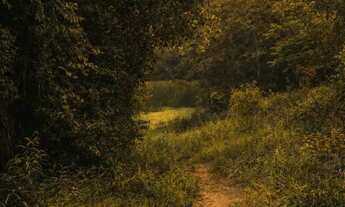 Imagem 6: Espaço de sobra para seus planos crescerem