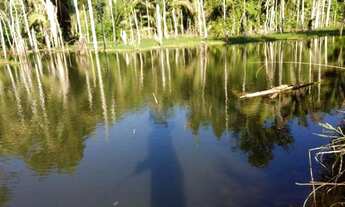 Imagem 7: Chácara em condomínio no alagado Jamari em Ariquemes