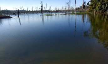 Imagem 2: Chácara em condomínio no alagado Jamari em Ariquemes