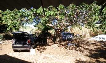 Imagem 3: Terreno 60 hectares com excelente preço e aceita troca de casa Sete Lagoas