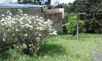 Imagem 3: Terreno 900 m2 Boa Vista excelente localização. Vendo ou alugo para fins comerciais