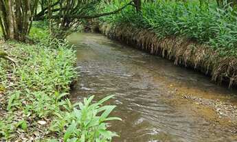 Imagem 2: Vendo chácara Campo Magro 20.000m2
