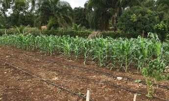 Imagem 2: Chácara - Bonfinópolis