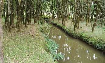 Imagem 3: Vendo chácara Campo Magro 20.000m2