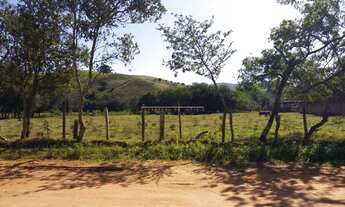 Imagem 2: BORDA DA MATA - Terreno Padrão - Estação