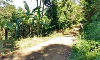Imagem 5: Chácara à venda em Rolante de 3 hectares !!