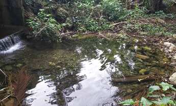 Imagem 6: TERRENO RURAL em JOINVILLE - SC, PIRABEIRABA (PIRABEIRABA