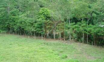 Imagem 4: Blumenau - Chácara - Nova Russia