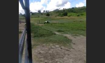 Imagem 3: Fazenda Fazenda / sítio com venda por R$350.000