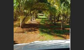 Imagem 7: Sítio com 5 quartos, Centro - Cajuru