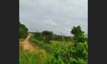 Imagem 5: Terra em Roraima