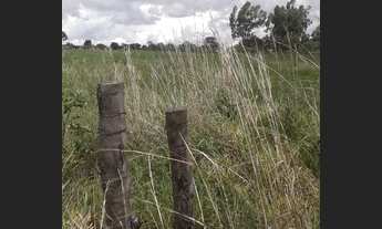 Imagem 5: Chacara São Gabriel go