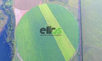 Imagem 4: Fazenda Dupla Aptidão - AGRICULTURA (LAVOURA/GRÃOS/SOJA) com PIVÔ em 230 HA, 415 hectares