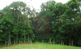 Imagem 5: Blumenau - Chácara - Nova Russia