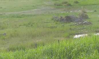 Imagem 5: Fazenda Fazenda / sítio com venda por R$350.000