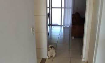 Imagem 5: Casa com 3 dormitórios à venda, 91 m² por R$ 420.000 - Água Branca - Piracicaba/São Paulo