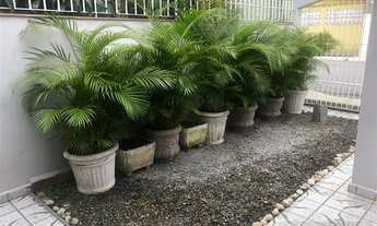 Imagem 6: Casa 03 dorms 02 vagas