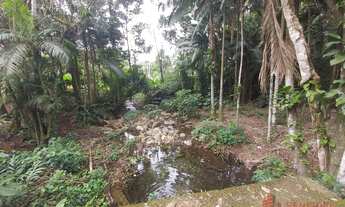 Imagem 7: TERRENO RURAL em JOINVILLE - SC, PIRABEIRABA (PIRABEIRABA