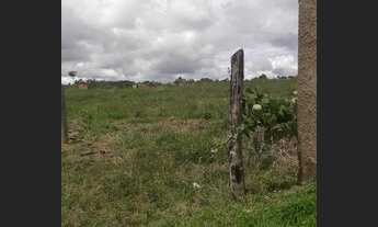 Imagem 2: Chacara São Gabriel go