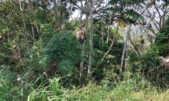 Imagem 2: LOTE/TERRENO - RESIDECIAL MOSAICO DA SERRA , C/ PLANTA E PROJETO APROVADO