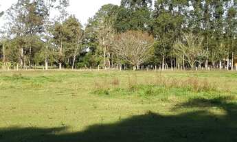 Imagem 2: Espetacular Sítio na 239 em Araricá, área NOBRE