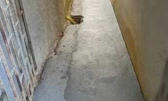 Imagem 4: Excelente casa Casa com 3 dormitórios