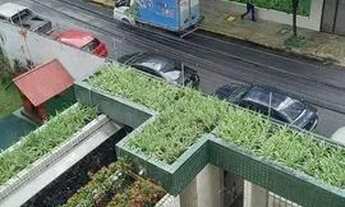 Imagem 3: Apartamento para aluguel tem 83 metros quadrados com 3 quartos em Boa Viagem - Recife - PE