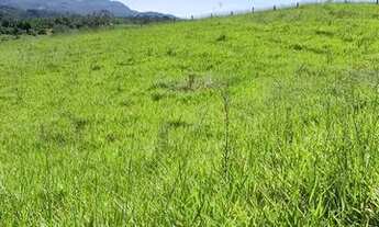 Imagem 3: Vendo terreno para chacara com 600 metros quadrados