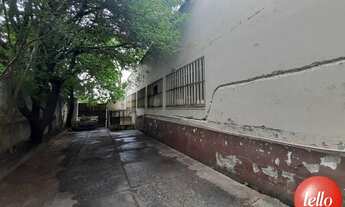 Imagem 6: São Paulo - Galpão/Depósito/Armazém - Pari