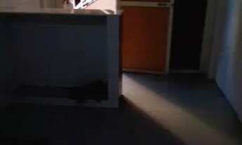 Imagem 4: Loja shopping bayside