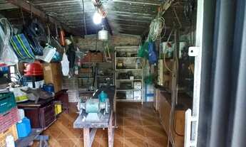 Imagem 6: Vendo chácara de 4,5 alqueires bela vista