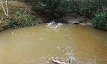 Imagem 4: Vendo chácara de 4,5 alqueires bela vista